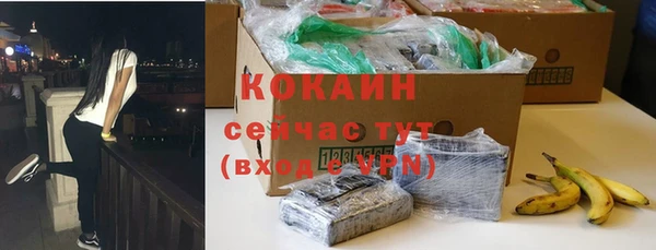 дмт Белокуриха