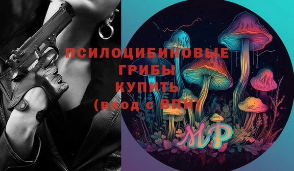 дмт Белокуриха