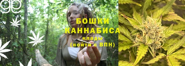 дмт Белокуриха