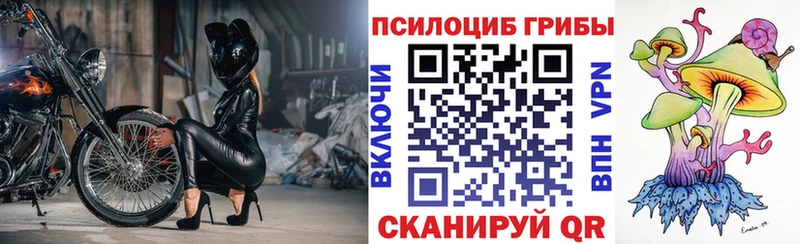 МЕГА как войти  Обь  Псилоцибиновые грибы мухоморы  закладки 